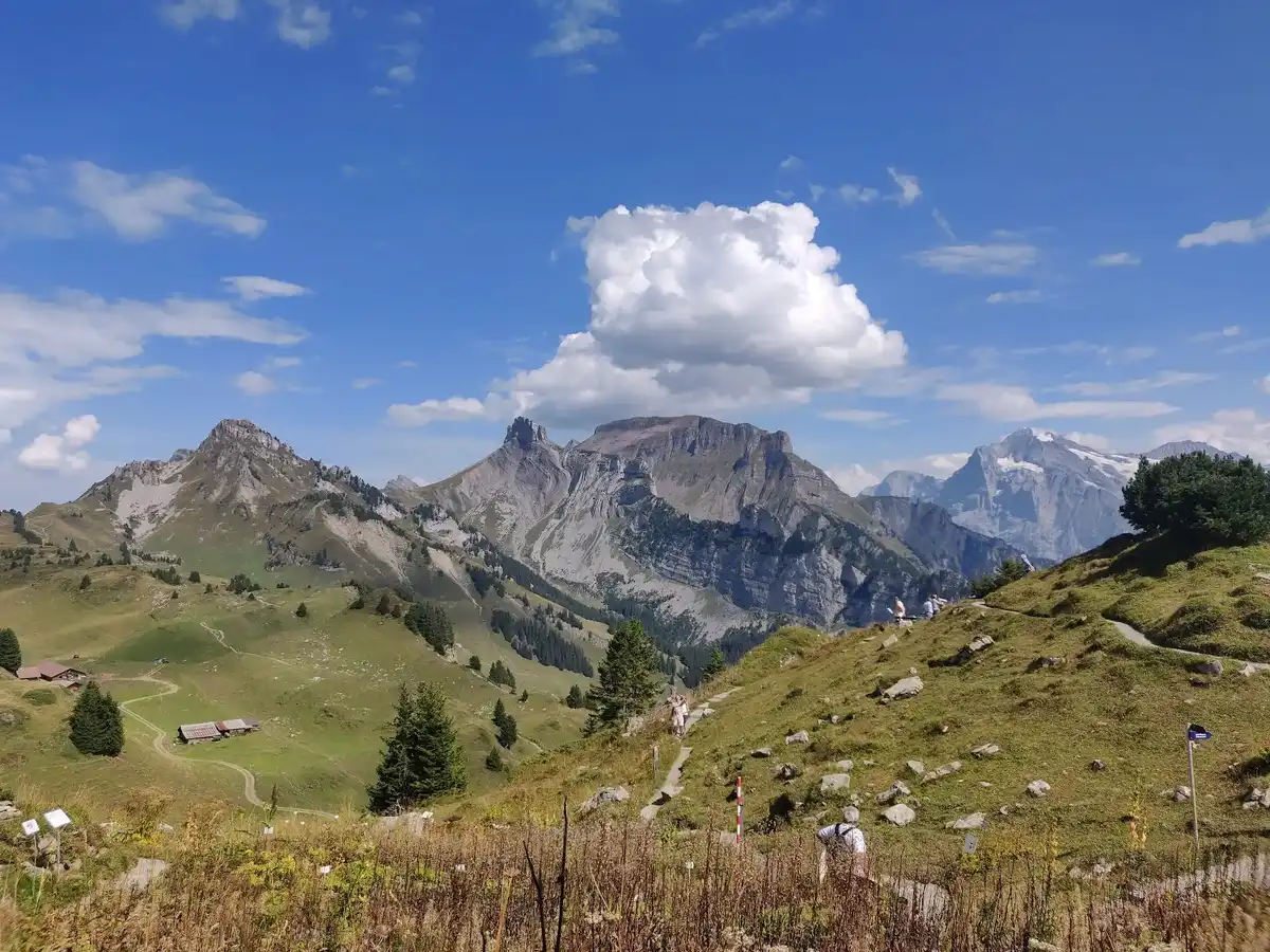 switzerland-hike-schynige-platte-panorama-trail
