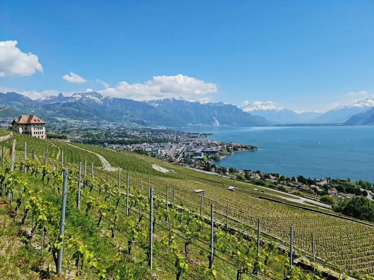 switzerland-region-lavaux