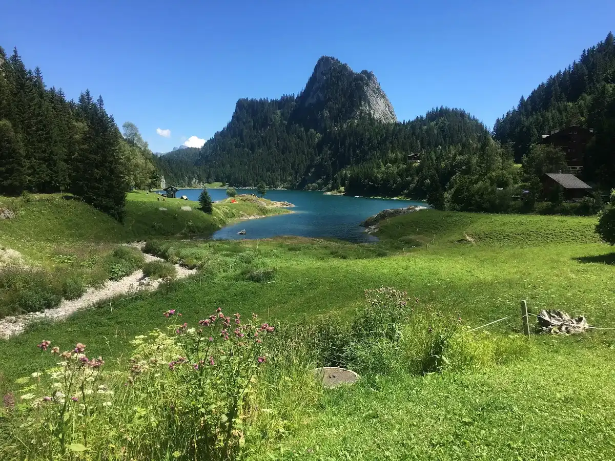 switzerland-unique-site-lac-de-taney