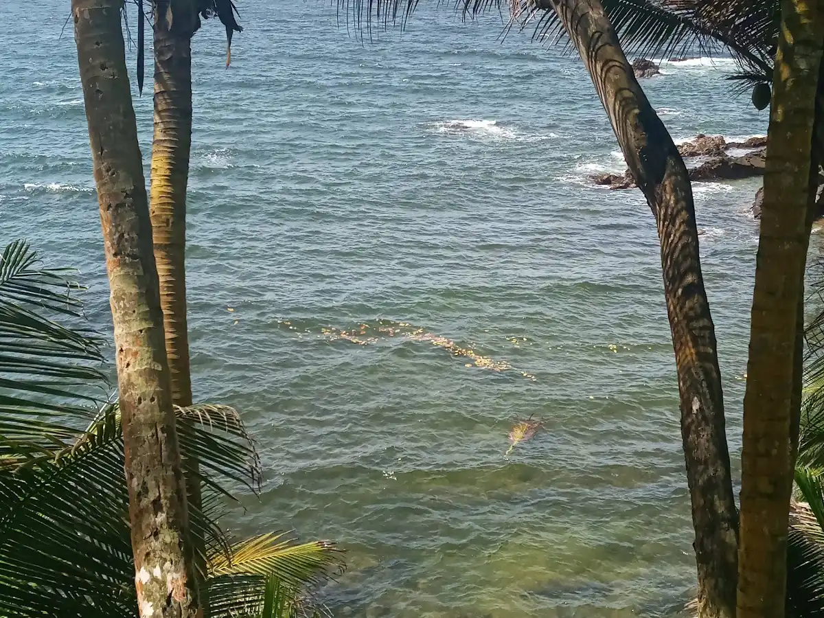 trinidad-and-tobago-city-blanchisseuse