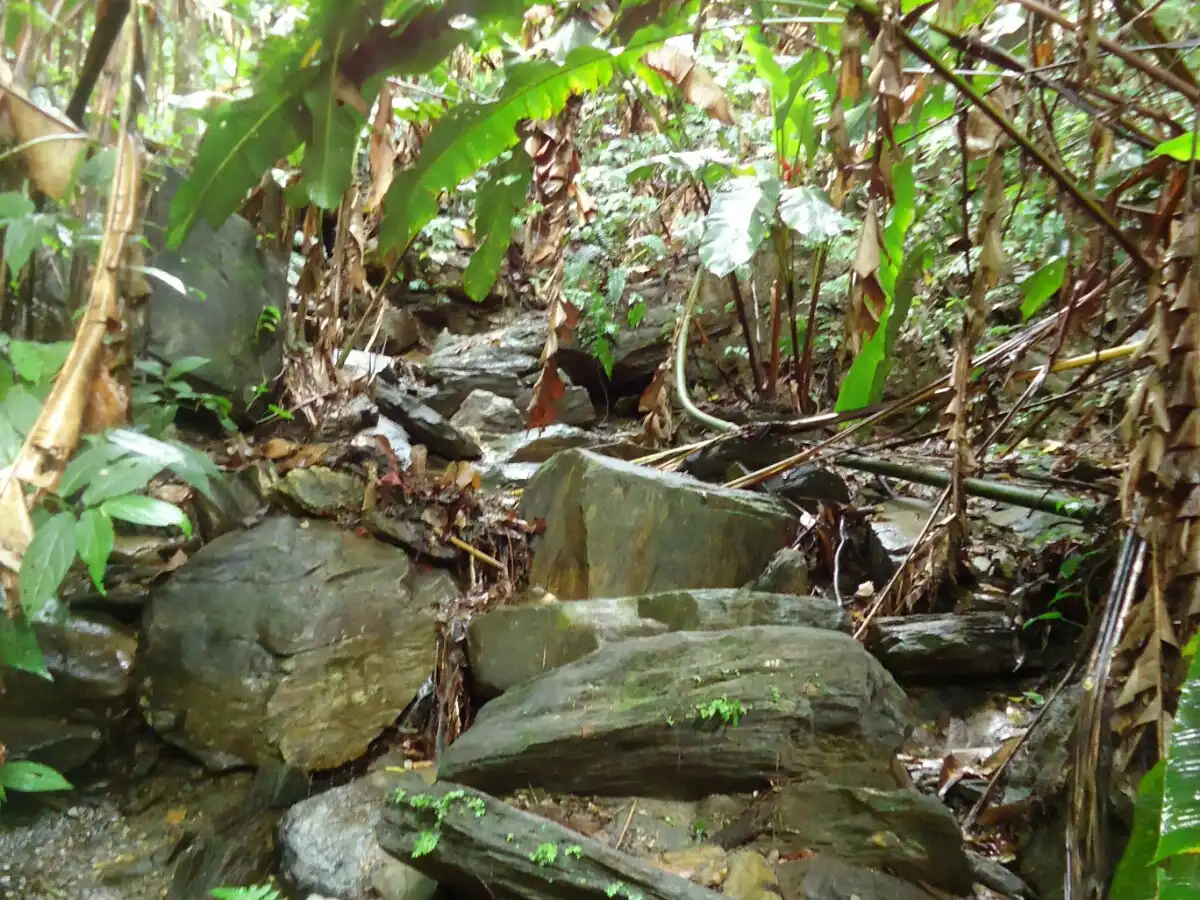 trinidad-and-tobago-hike-edith-falls