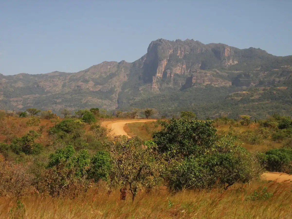 uganda-hike-mount-kadam-trail