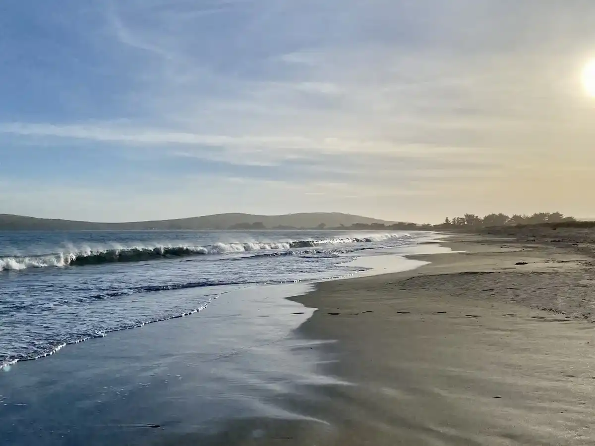 united-states-beach-bodega-bay