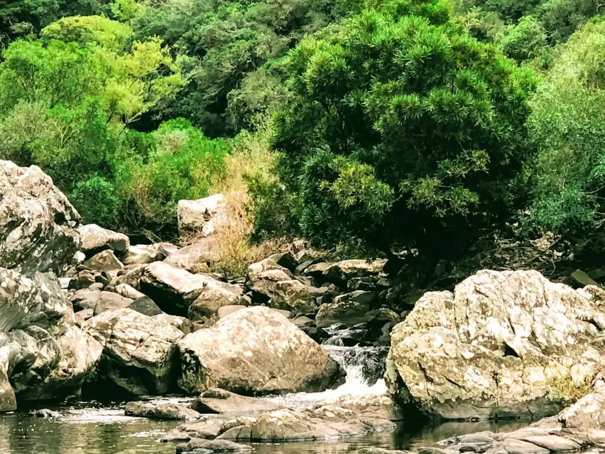 uruguay-national-park-quebrada-de-los-cuervos