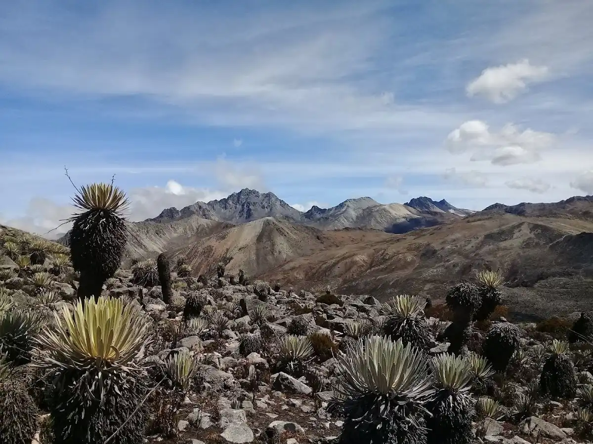 venezuela-hike-la-culata-trail