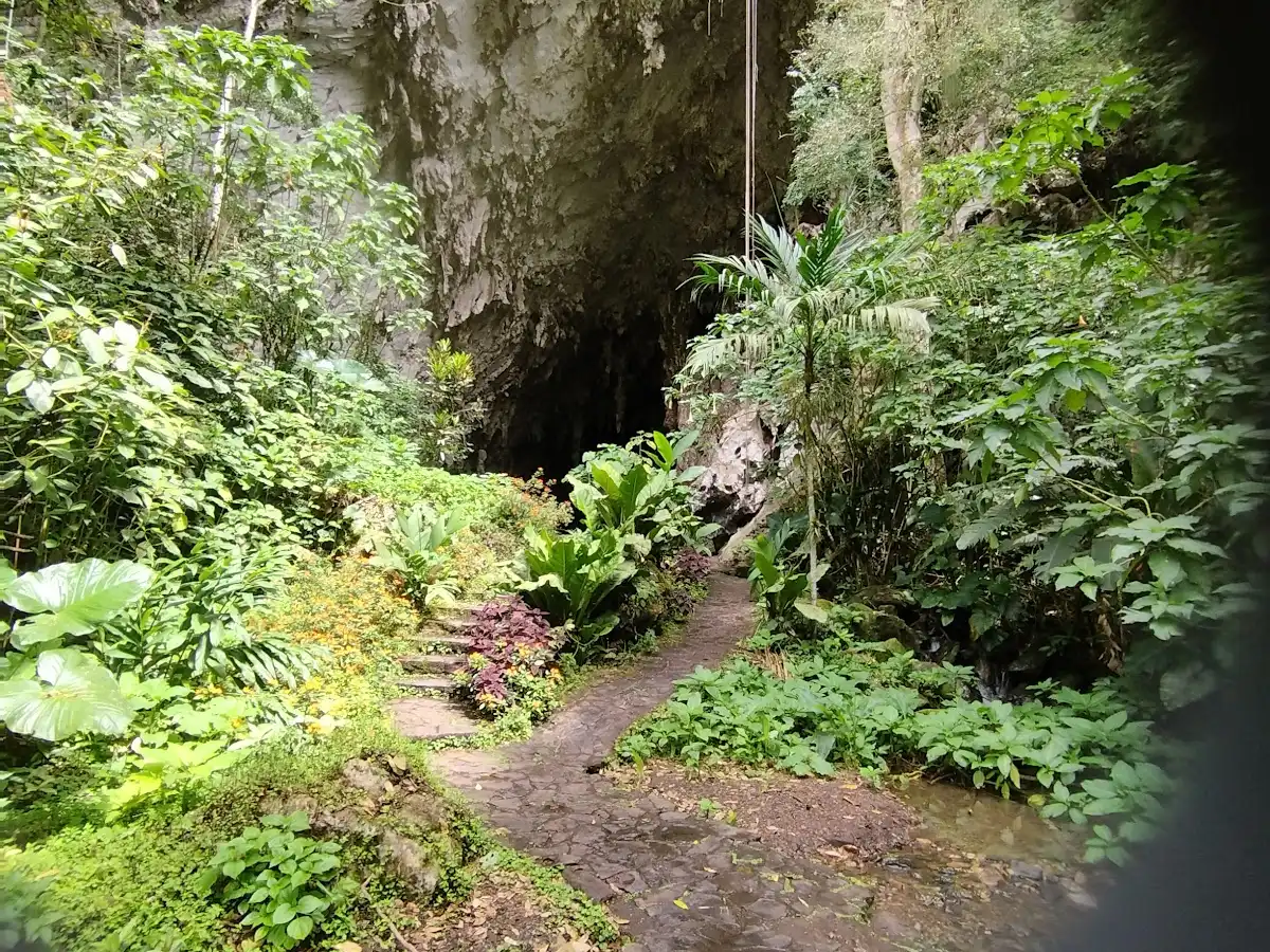 venezuela-national-park-cueva-del-guacharo-national-park