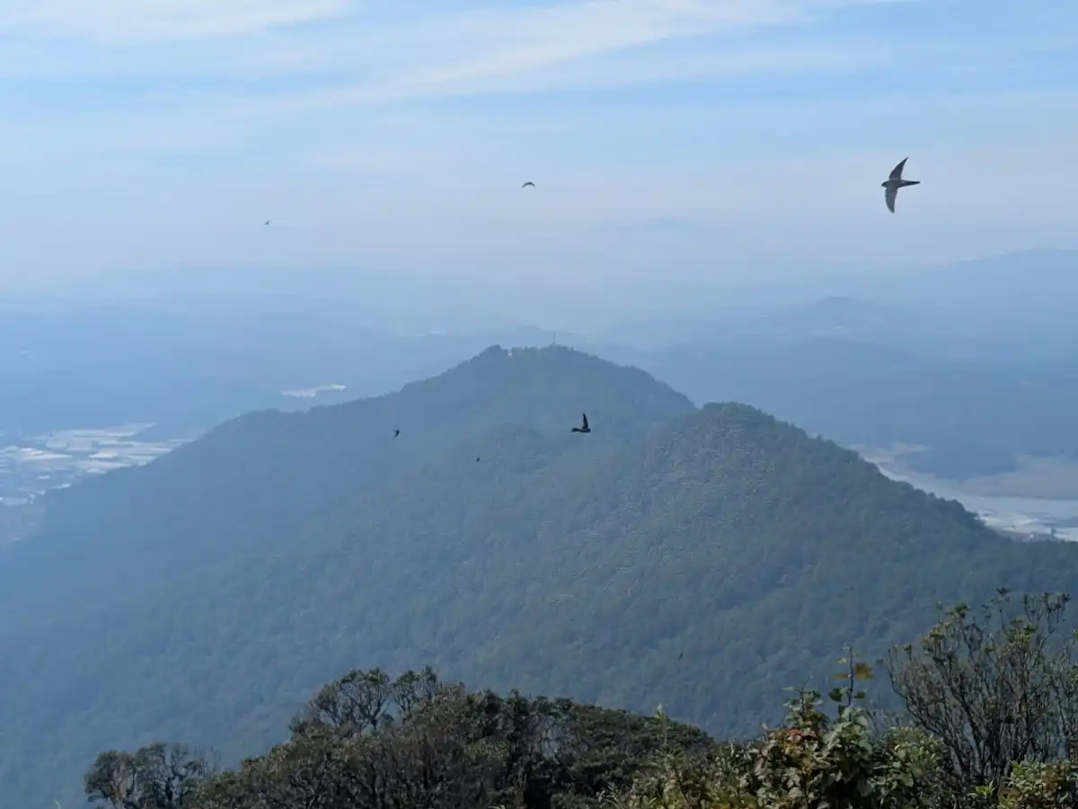 vietnam-hike-lang-biang-mountain-trek