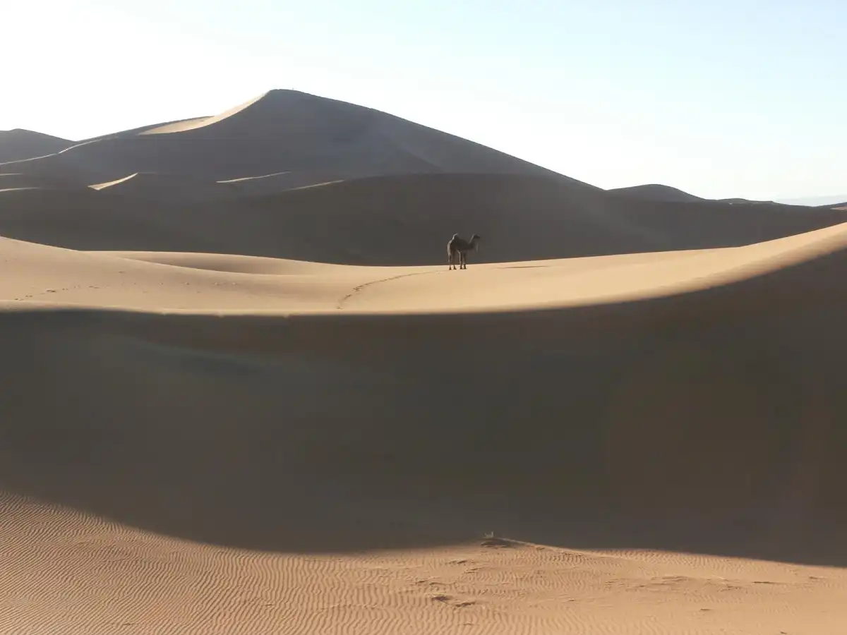 western-sahara-city-bir-lehlou