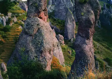 Goris
