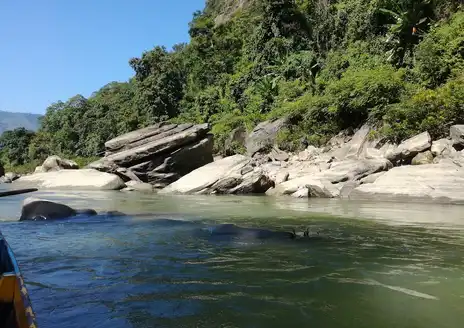 Sangu River