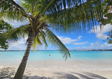 Carlisle Bay