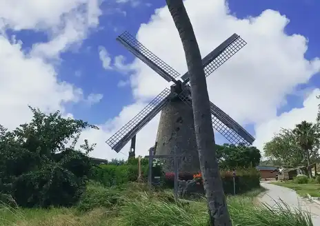 Morgan Lewis Sugar Mill