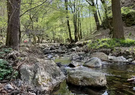 Ninglinspo River Hike