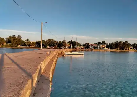 Sarteneja