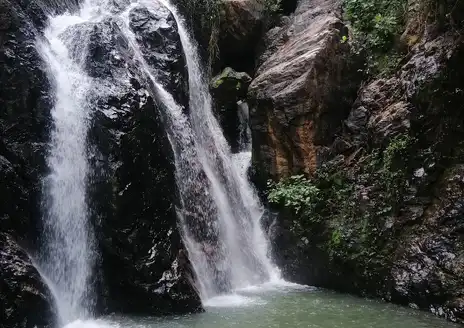 Tanguieta
