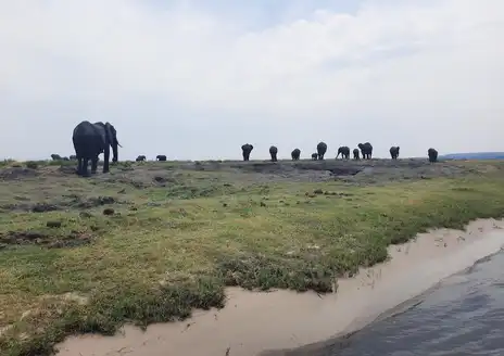 Chobe River Sunset Boat Cruises