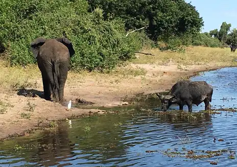 Chobe Riverfront