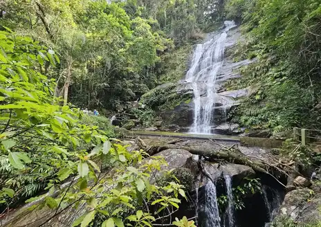 Tijuca