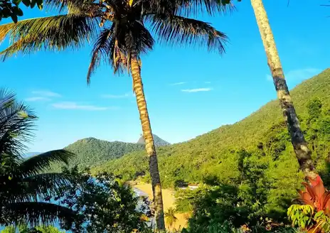Ilha Grande