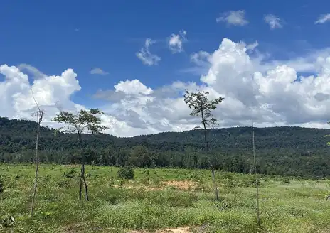 Cardamom Mountains