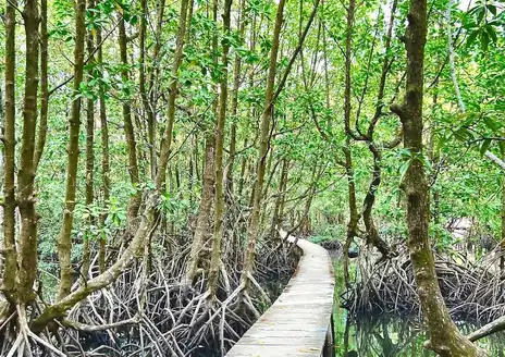 Peam Krasop Wildlife Sanctuary
