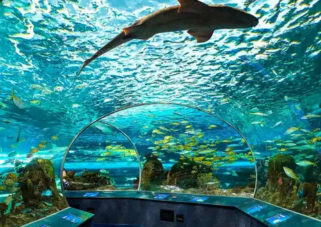 Ripley’s Aquarium of Canada