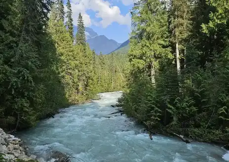 Berg Lake Trail