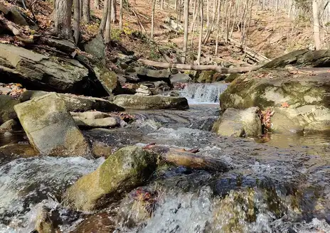 Bruce Trail