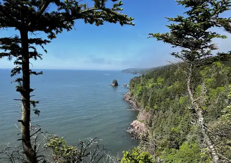 Fundy