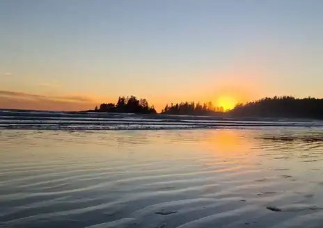 Pacific Rim