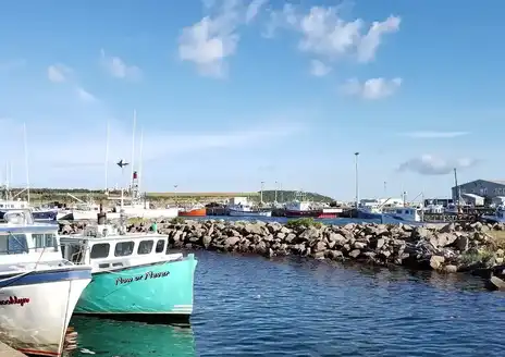 Cape Breton Island (Nova Scotia)