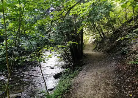 Manitoulin Island
