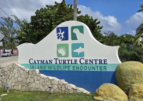 Cayman Turtle Centre