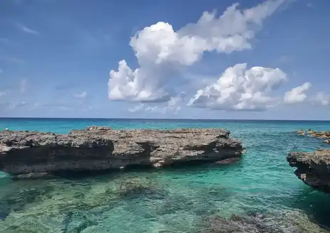 Smith Cove