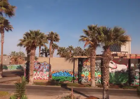 Arica