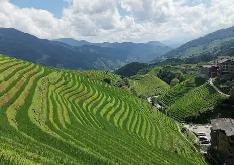 Longji Rice Terraces