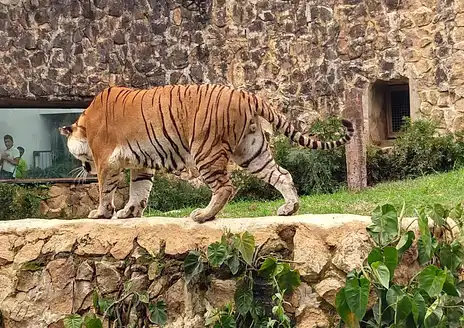 Zoológico de Cali
