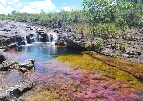 Caño Cristales