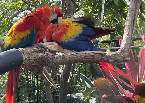 Refugio Herpetológico de Costa Rica