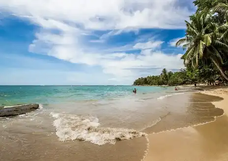 Punta Uva
