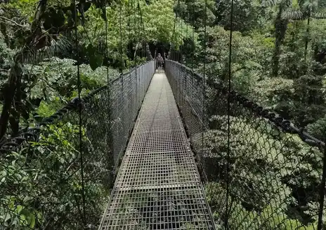 Mistico Hanging Bridges