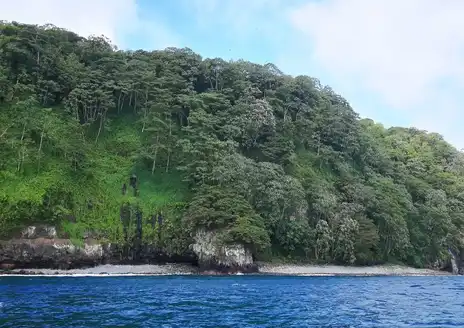 Cocos Island