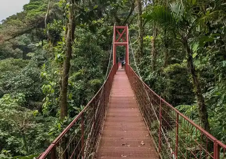Monteverde Cloud Forest