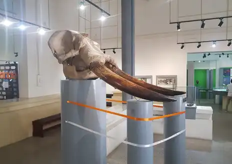 Musée des Civilisations de Côte d’Ivoire