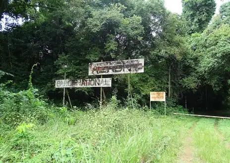 Azagny
