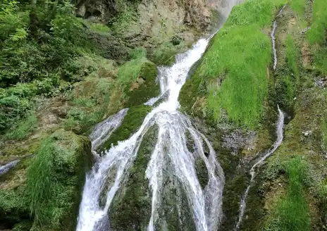 Jankovac Forest Park