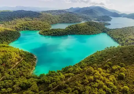 Mljet