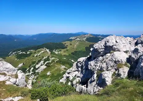 Risnjak