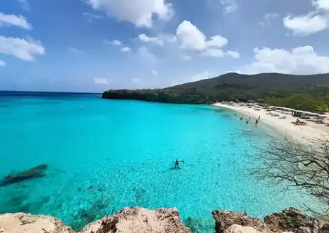 Grote Knip