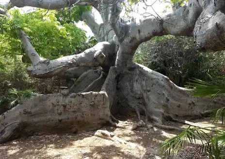 Hofi Pastor Nature Reserve